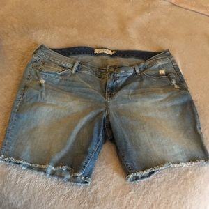 Distressed Light Wash Torrid Shorts